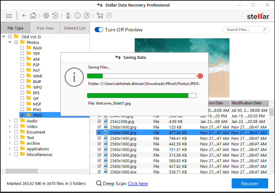 stellar data recovery cant preview