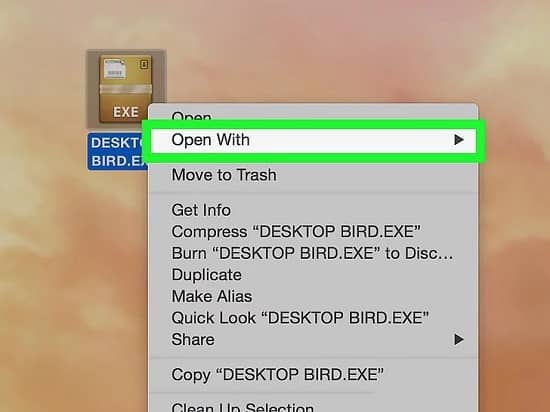 how to open exe mac