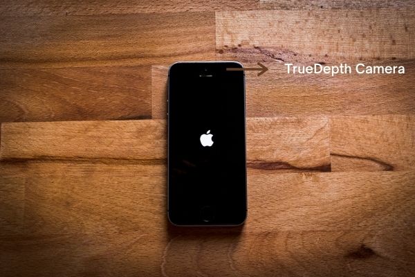 Face Id Has Been Disabled Truedepth Camera